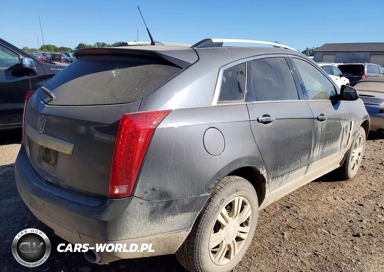 2010 Cadillac Srx Luxury Collection VIN:3GYFNDEY2AS565534 - 3