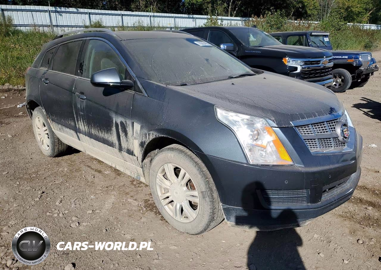 2010 Cadillac Srx Luxury Collection VIN:3GYFNDEY2AS565534 - 4