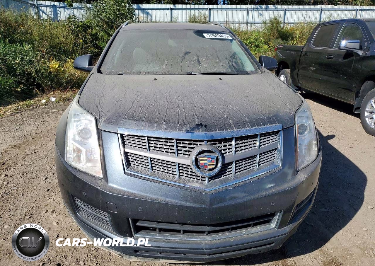 2010 Cadillac Srx Luxury Collection VIN:3GYFNDEY2AS565534 - 5