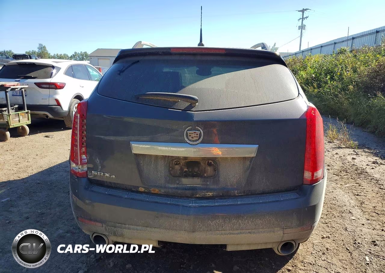 2010 Cadillac Srx Luxury Collection VIN:3GYFNDEY2AS565534 - 6