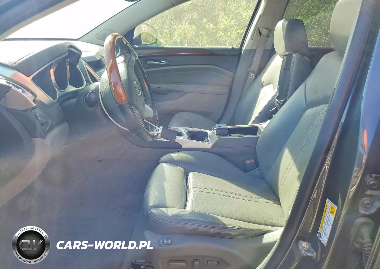 2010 Cadillac Srx Luxury Collection VIN:3GYFNDEY2AS565534 - 7