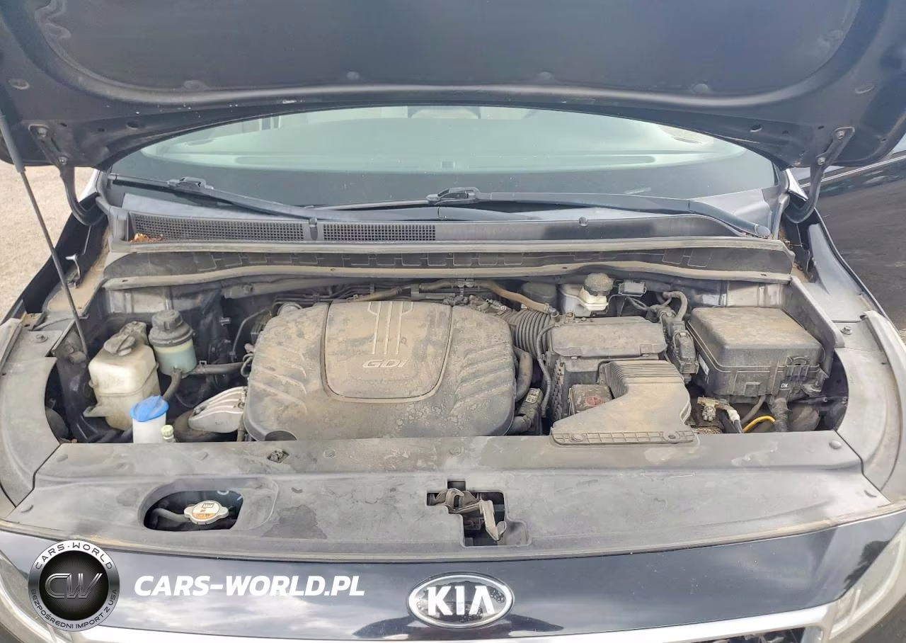 2016 Kia Sedona Lx VIN:KNDMB5C13G6203145 - 12