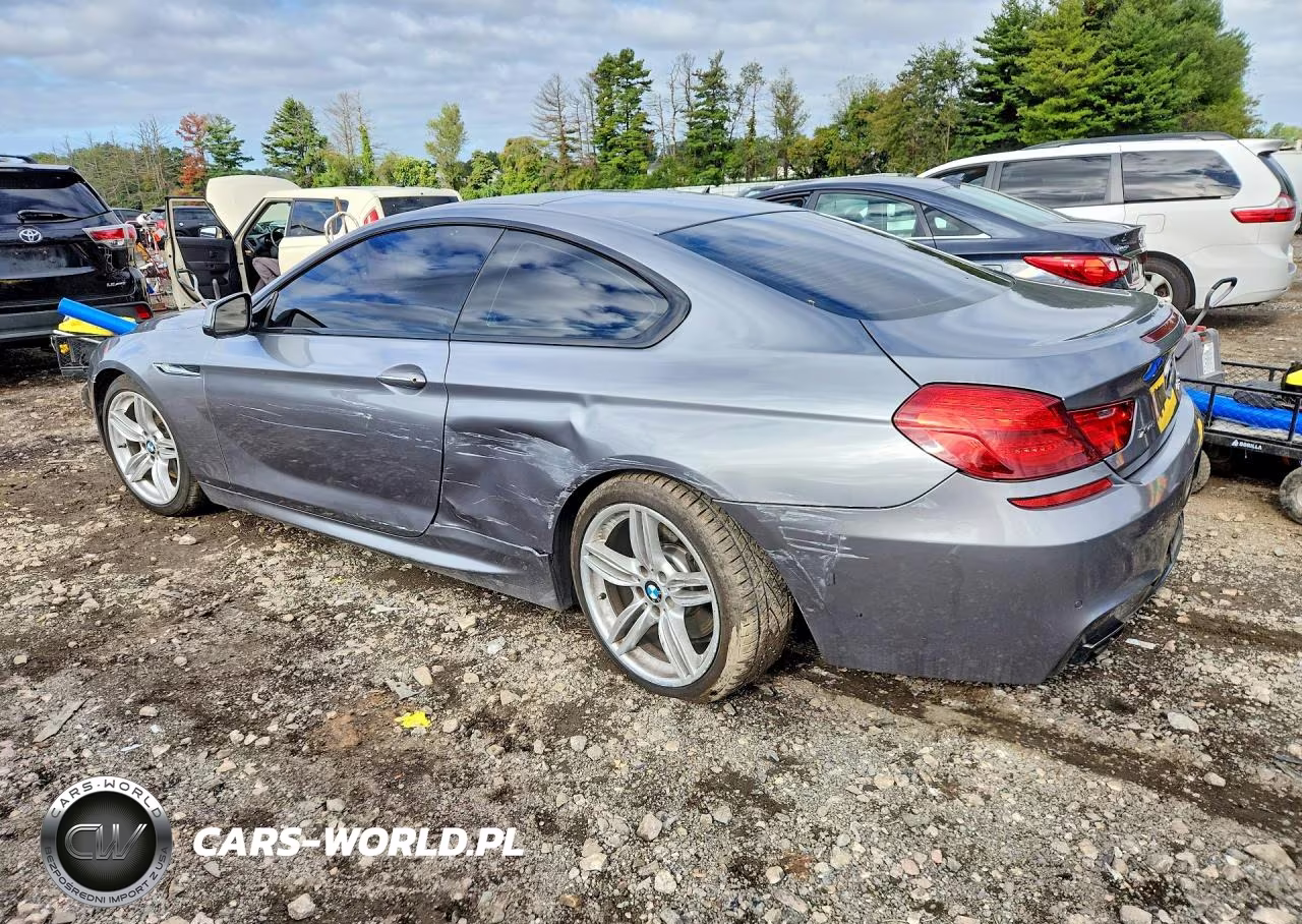 2014 BMW 650 Xi VIN:WBAYM1C59ED325036 - 2
