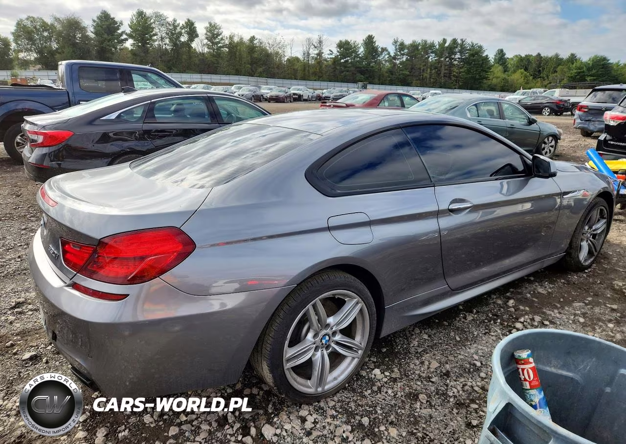 2014 BMW 650 Xi VIN:WBAYM1C59ED325036 - 3