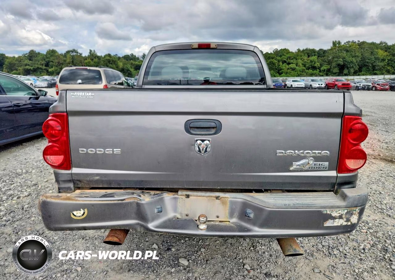 2011 Dodge Dakota Slt VIN:1D7RE3GK4BS708251 - 6