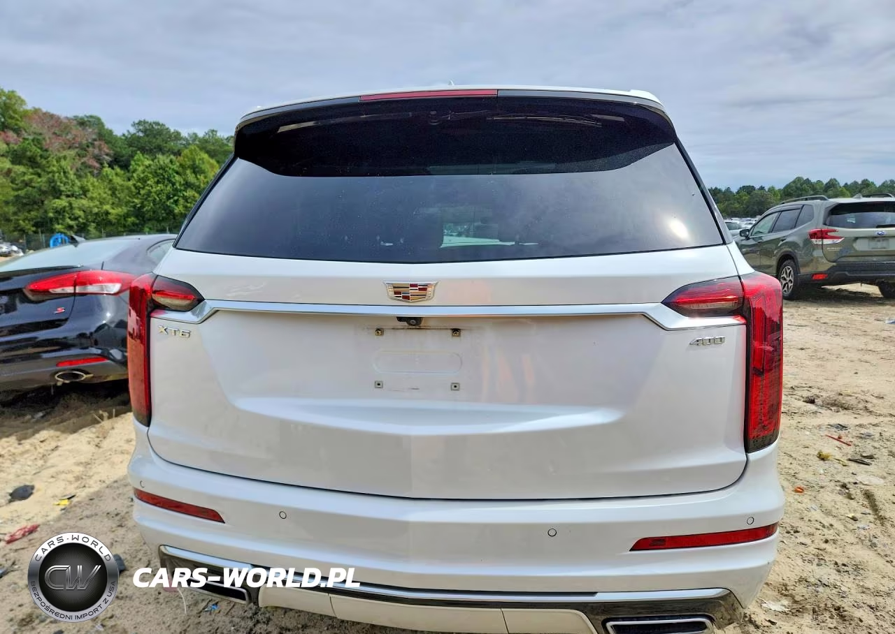 2020 Cadillac Xt6 Premium Luxury VIN:1GYKPCRS6LZ237810 - 6