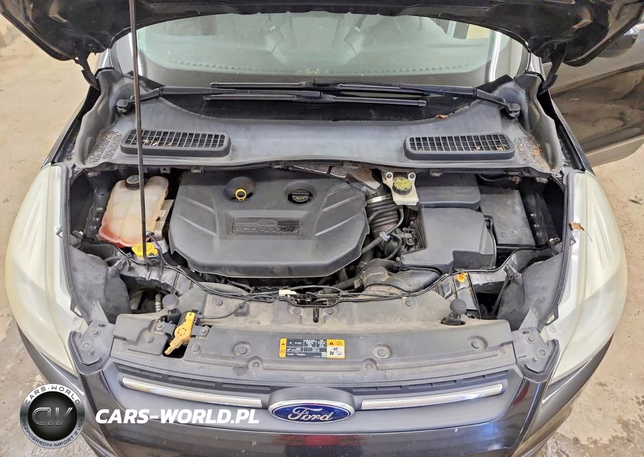 2013 Ford Escape Se VIN:1FMCU0G94DUA80399 - 12