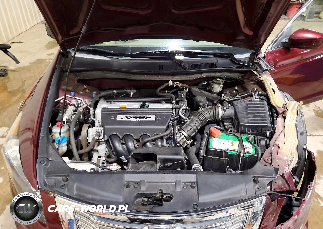2009 Honda Accord Lxp VIN:1HGCP26499A100198 - 11
