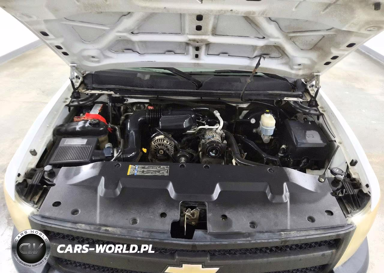 2009 Chevrolet Silverado K1500 VIN:1GCEK14X89Z245411 - 11