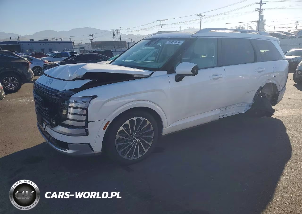 2026 Hyundai Palisade Calligraphy VIN:KM8RMESA2TU031905 - 1