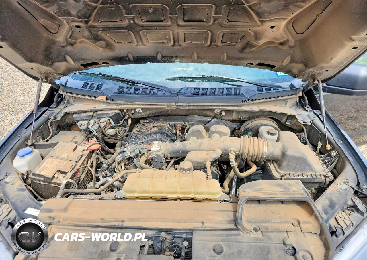 2019 Ford F150 VIN:1FTMF1CB6KKF26952 - 11