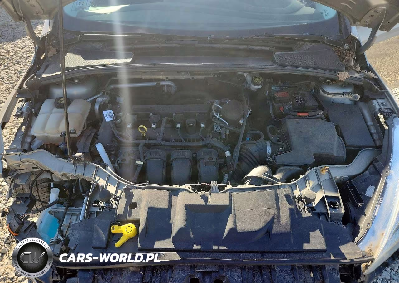 2015 Ford Focus Se VIN:1FADP3K26FL344328 - 11