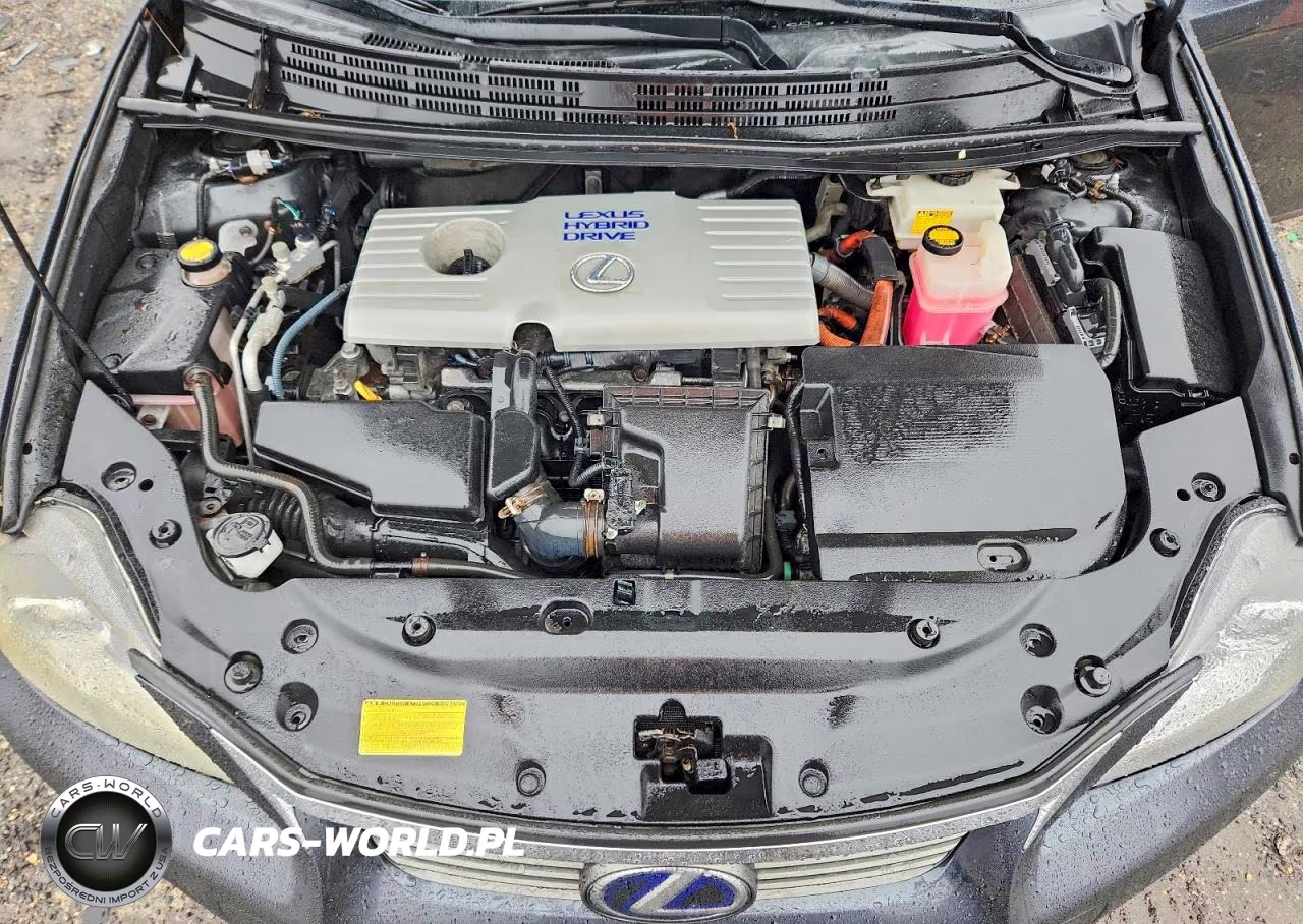 LEXUS CT 200 VIN:JTHKD5BH0B2036709 - 11