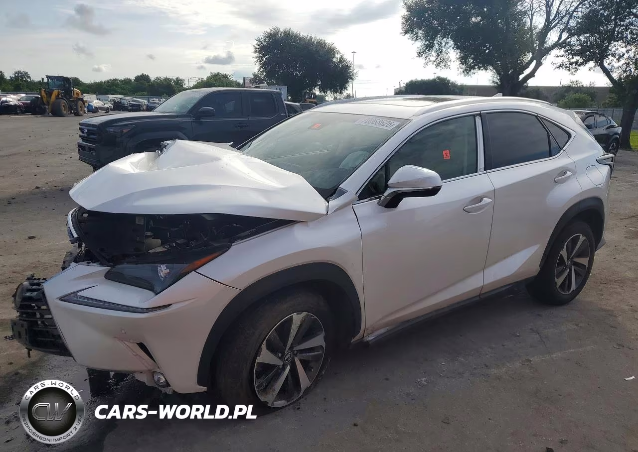 2019 Lexus Nx 300 Base VIN:JTJBARBZ3K2181623 - 1