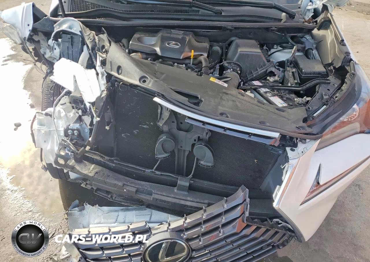 2019 Lexus Nx 300 Base VIN:JTJBARBZ3K2181623 - 12