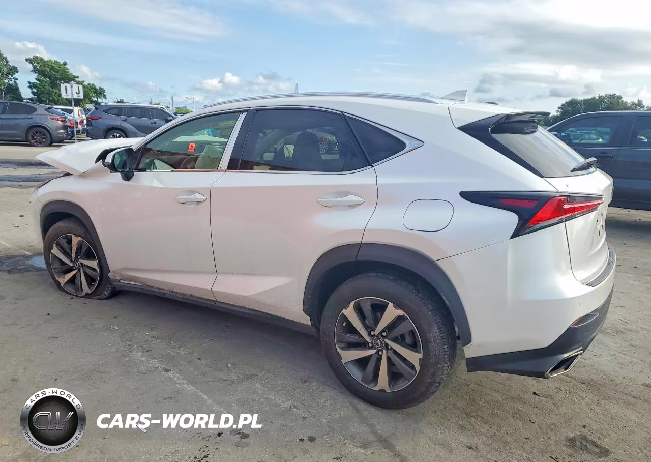 2019 Lexus Nx 300 Base VIN:JTJBARBZ3K2181623 - 2
