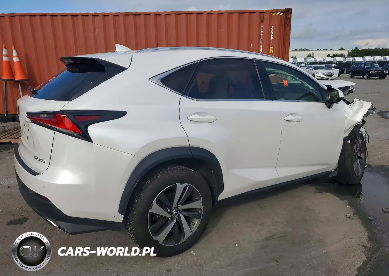 2019 Lexus Nx 300 Base VIN:JTJBARBZ3K2181623 - 3