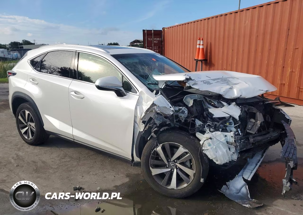 2019 Lexus Nx 300 Base VIN:JTJBARBZ3K2181623 - 4