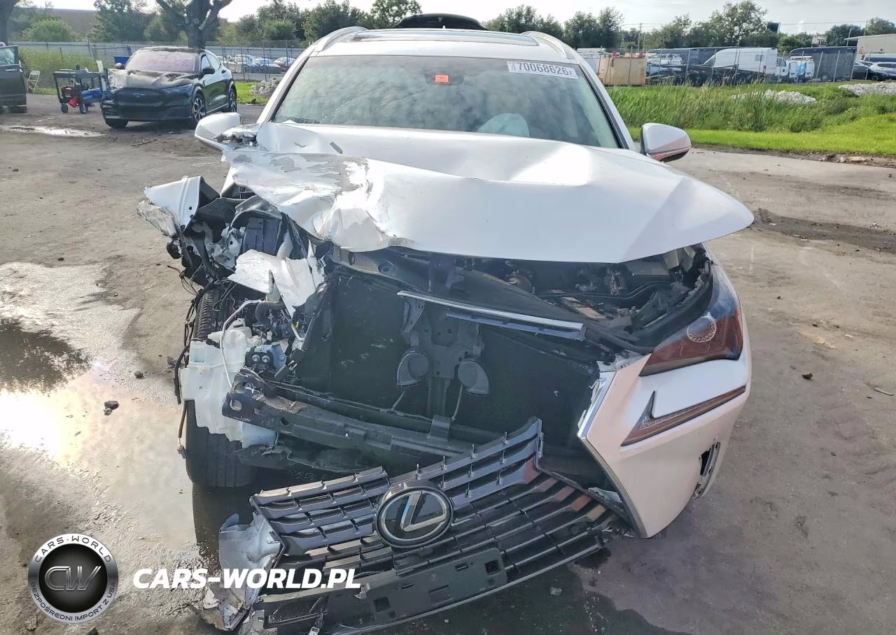 2019 Lexus Nx 300 Base VIN:JTJBARBZ3K2181623 - 5