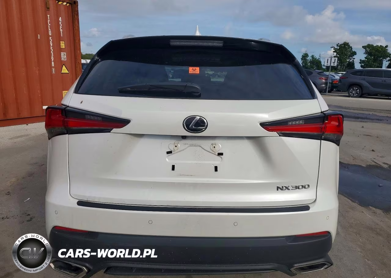 2019 Lexus Nx 300 Base VIN:JTJBARBZ3K2181623 - 6