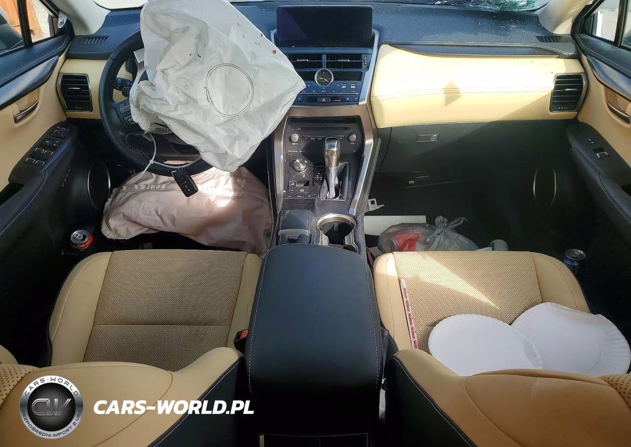 2019 Lexus Nx 300 Base VIN:JTJBARBZ3K2181623 - 8