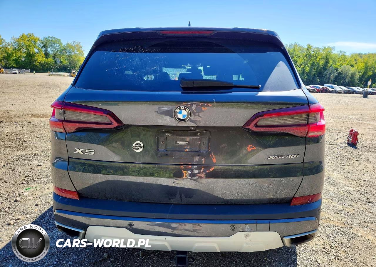 2023 BMW X5 xDrive40I VIN:5UXCR6C01P9R61342 - 6