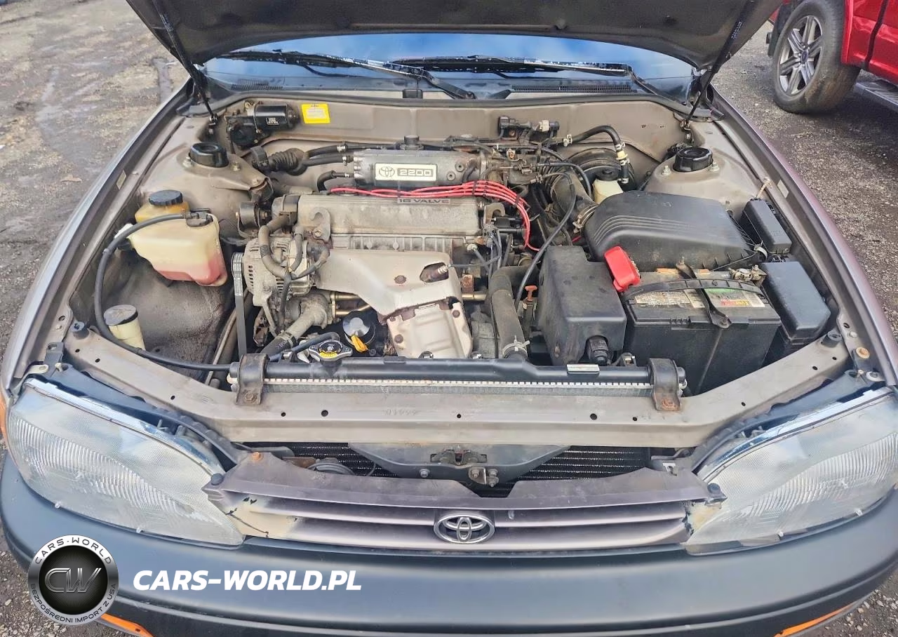1996 Toyota Camry Le VIN:4T1BG12K3TU813060 - 11