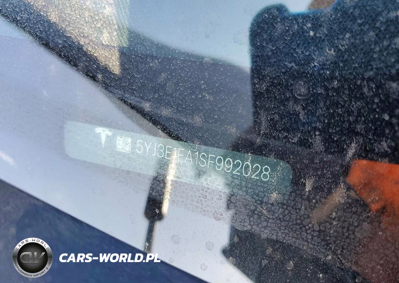 2025 Tesla Model 3 VIN:5YJ3E1EA1SF992028 - 12