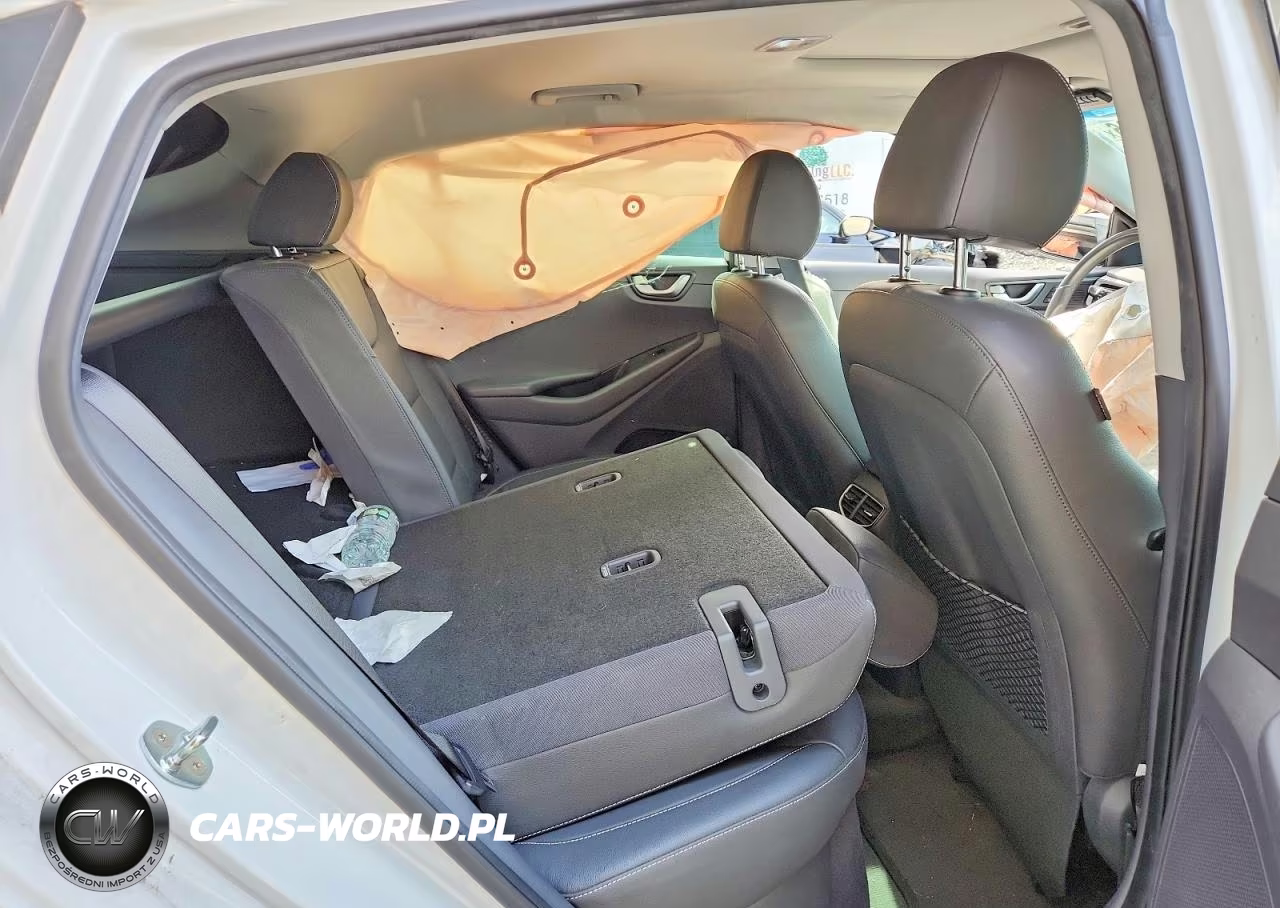 2019 Hyundai Ioniq Limited VIN:KMHC75LD0KU161914 - 10
