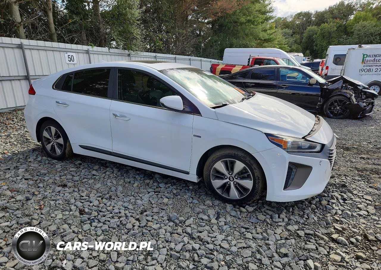 2019 Hyundai Ioniq Limited VIN:KMHC75LD0KU161914 - 4