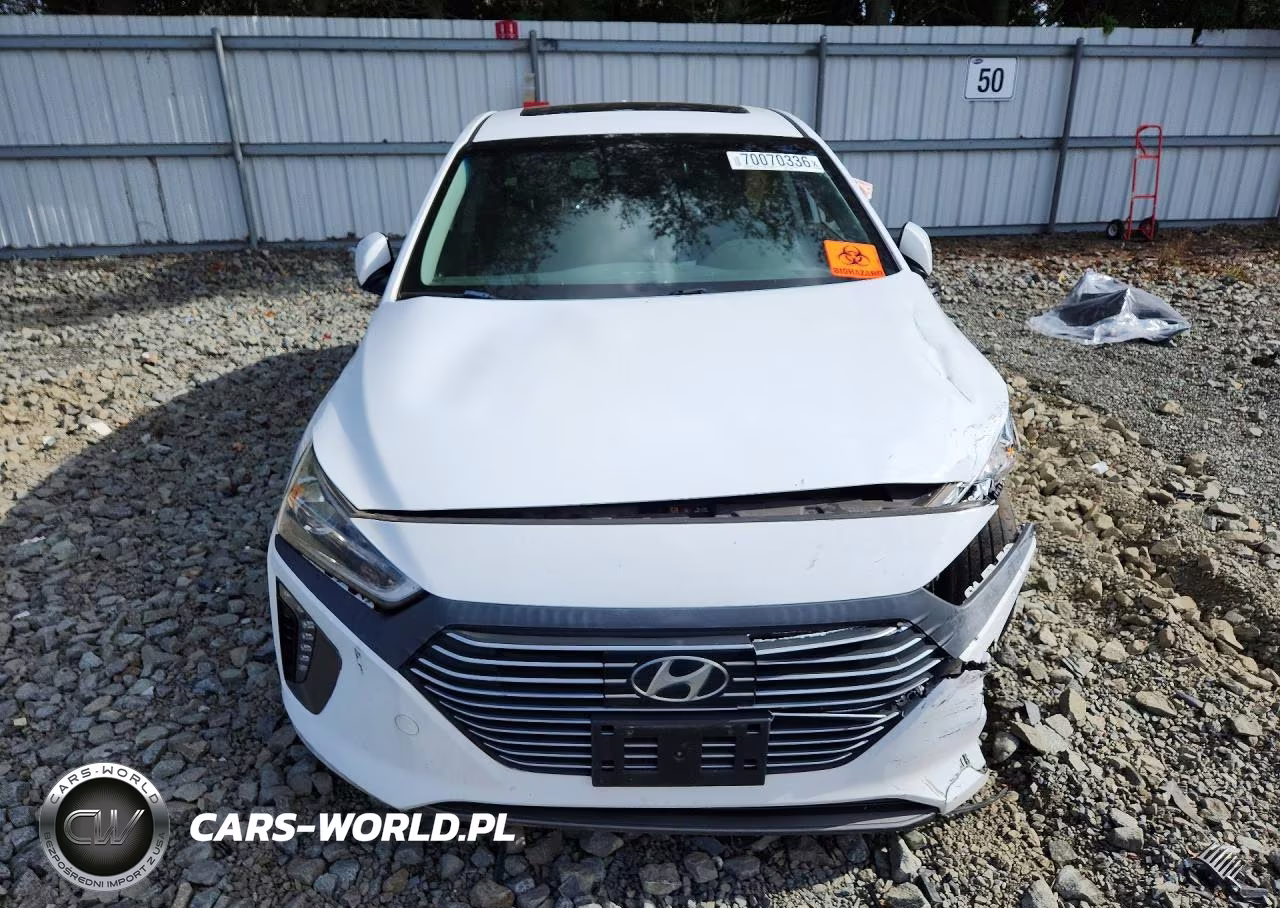 2019 Hyundai Ioniq Limited VIN:KMHC75LD0KU161914 - 5