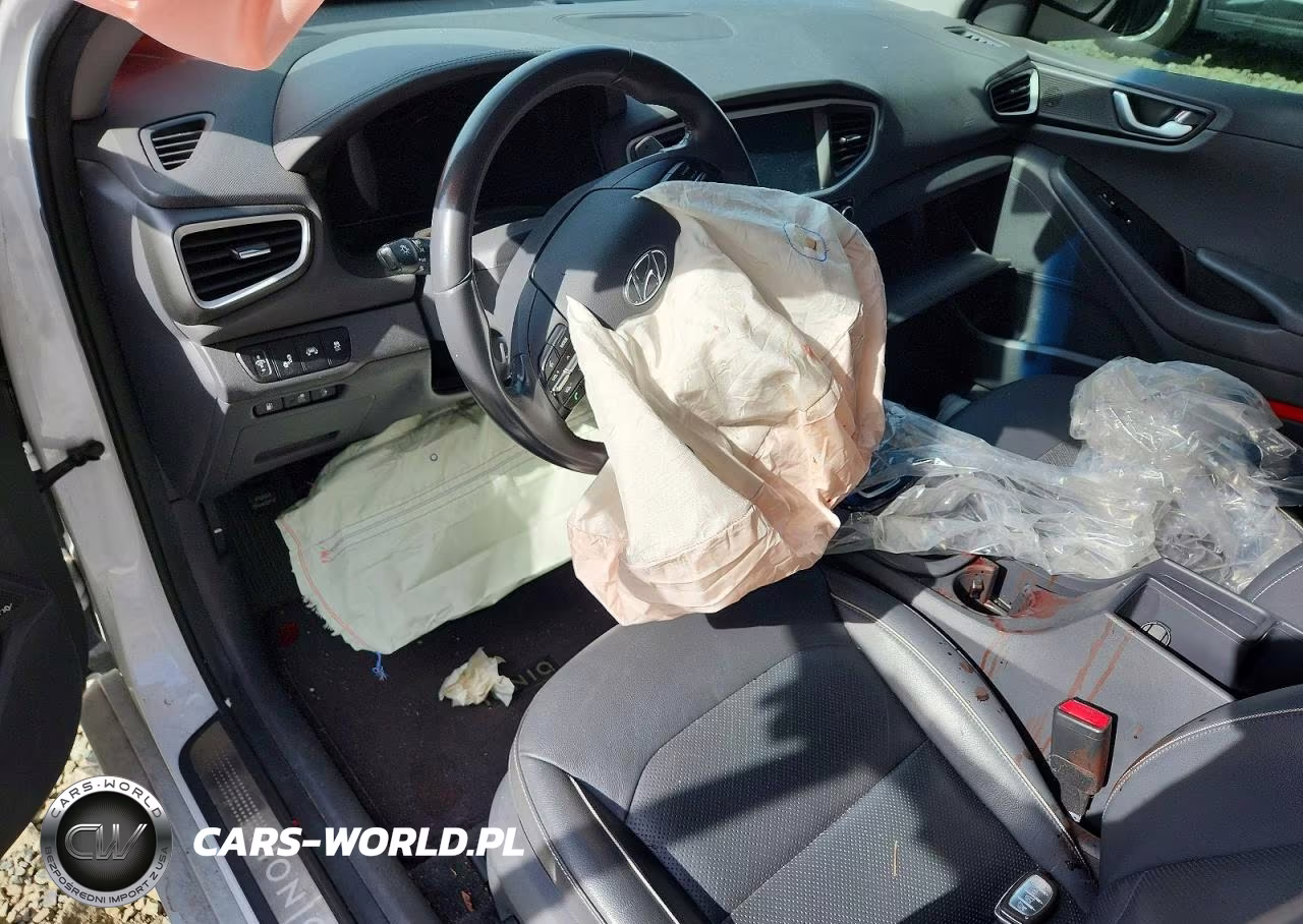 2019 Hyundai Ioniq Limited VIN:KMHC75LD0KU161914 - 8