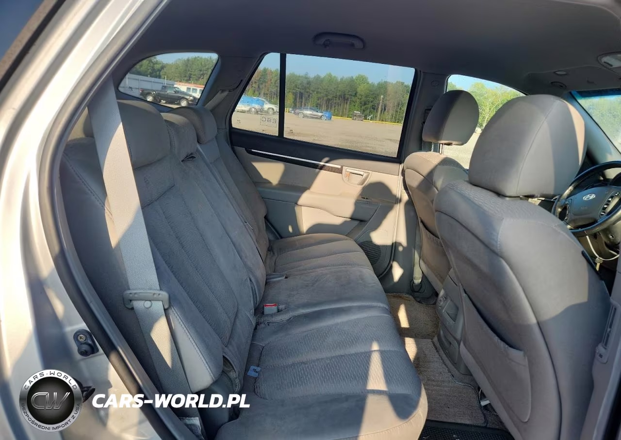 2007 Hyundai Santa Fe Se VIN:5NMSH13E17H029001 - 11