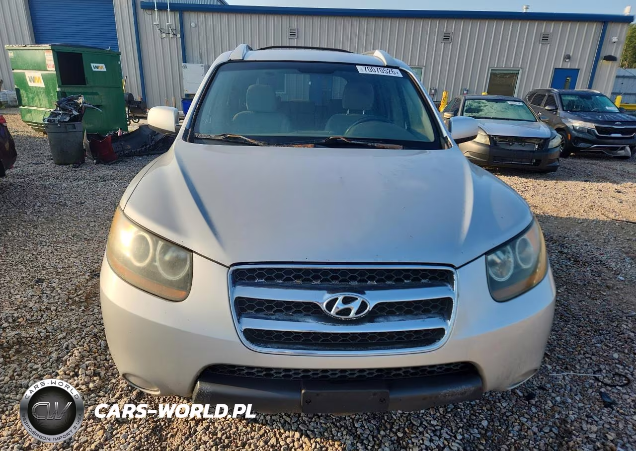 2007 Hyundai Santa Fe Se VIN:5NMSH13E17H029001 - 5