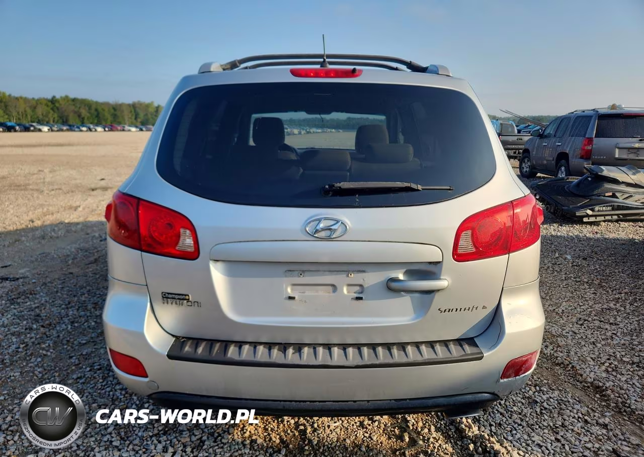 2007 Hyundai Santa Fe Se VIN:5NMSH13E17H029001 - 6