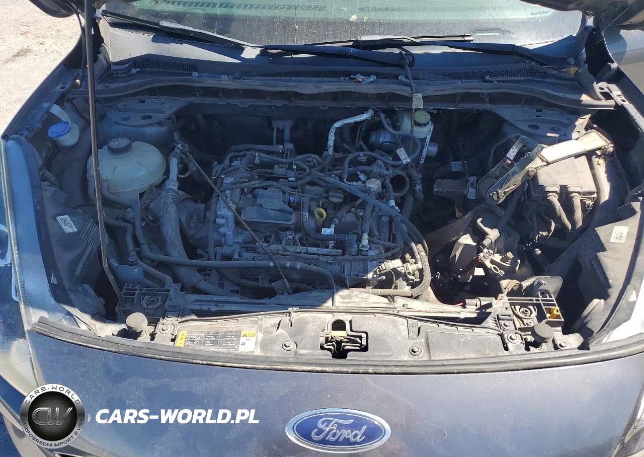 2022 Ford Escape Sel VIN:1FMCU0H62NUA22510 - 12