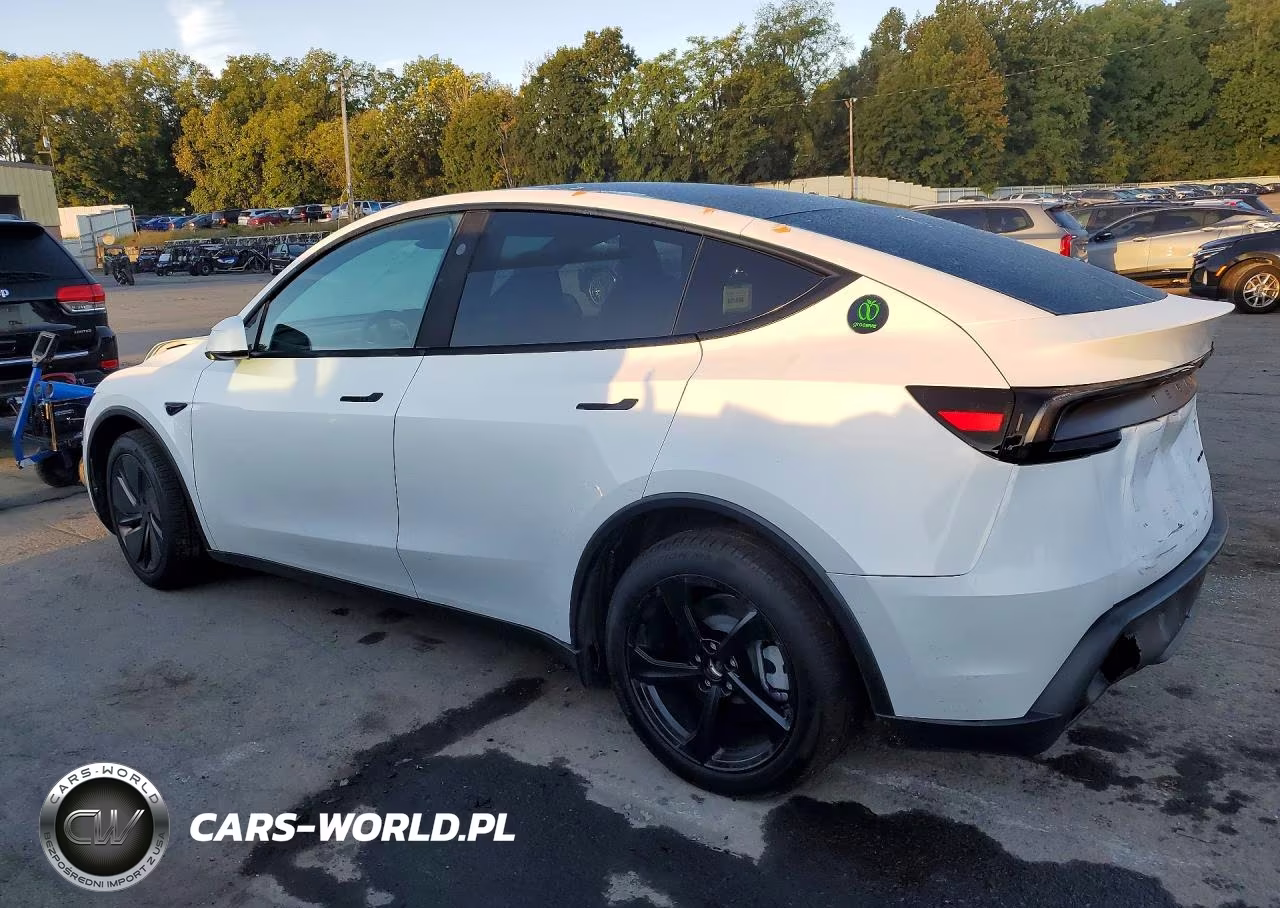 2026 Tesla Model Y VIN:7SAYGDEE5TA731667 - 2
