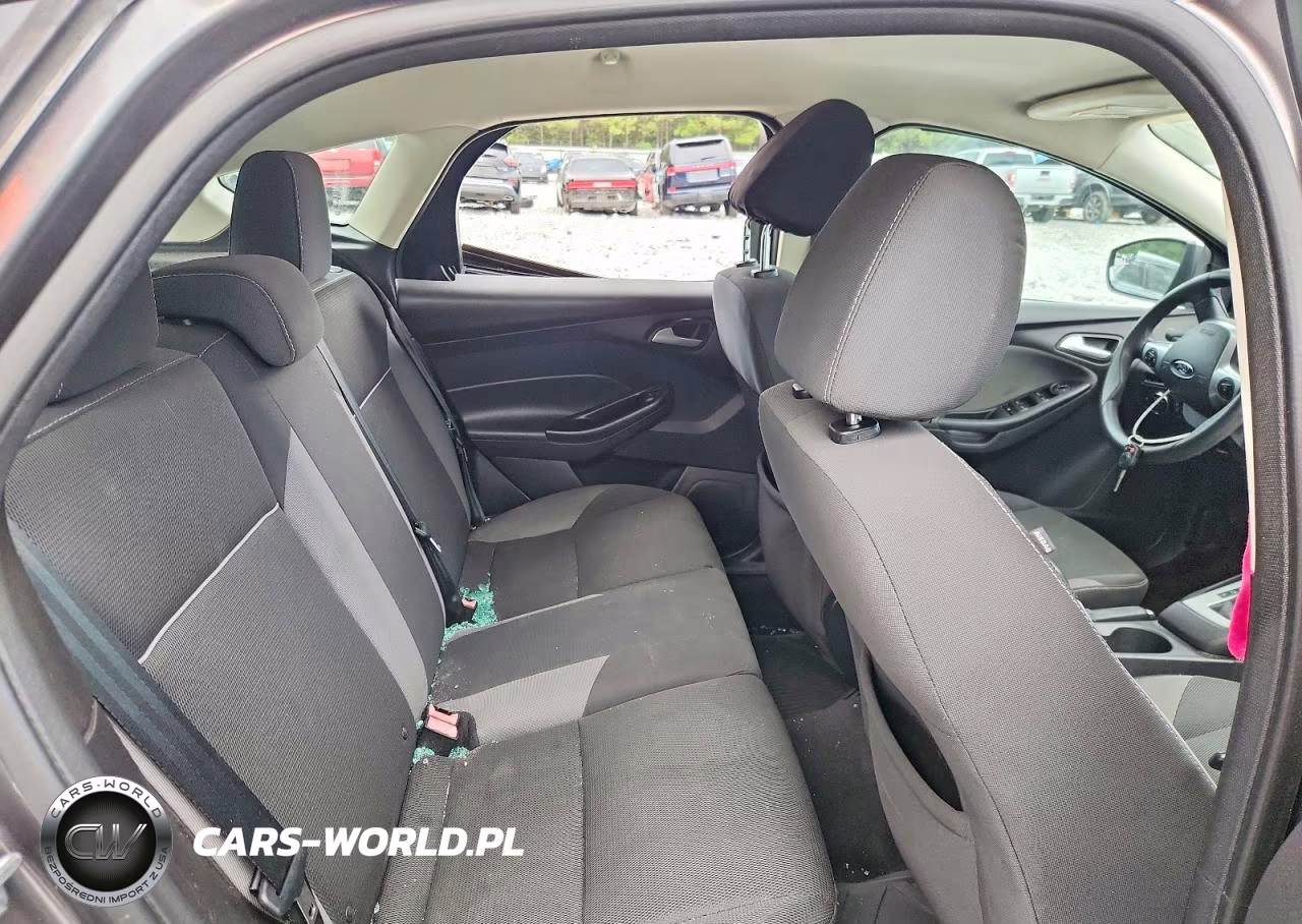 2014 Ford Focus Se VIN:1FADP3K29EL179437 - 10