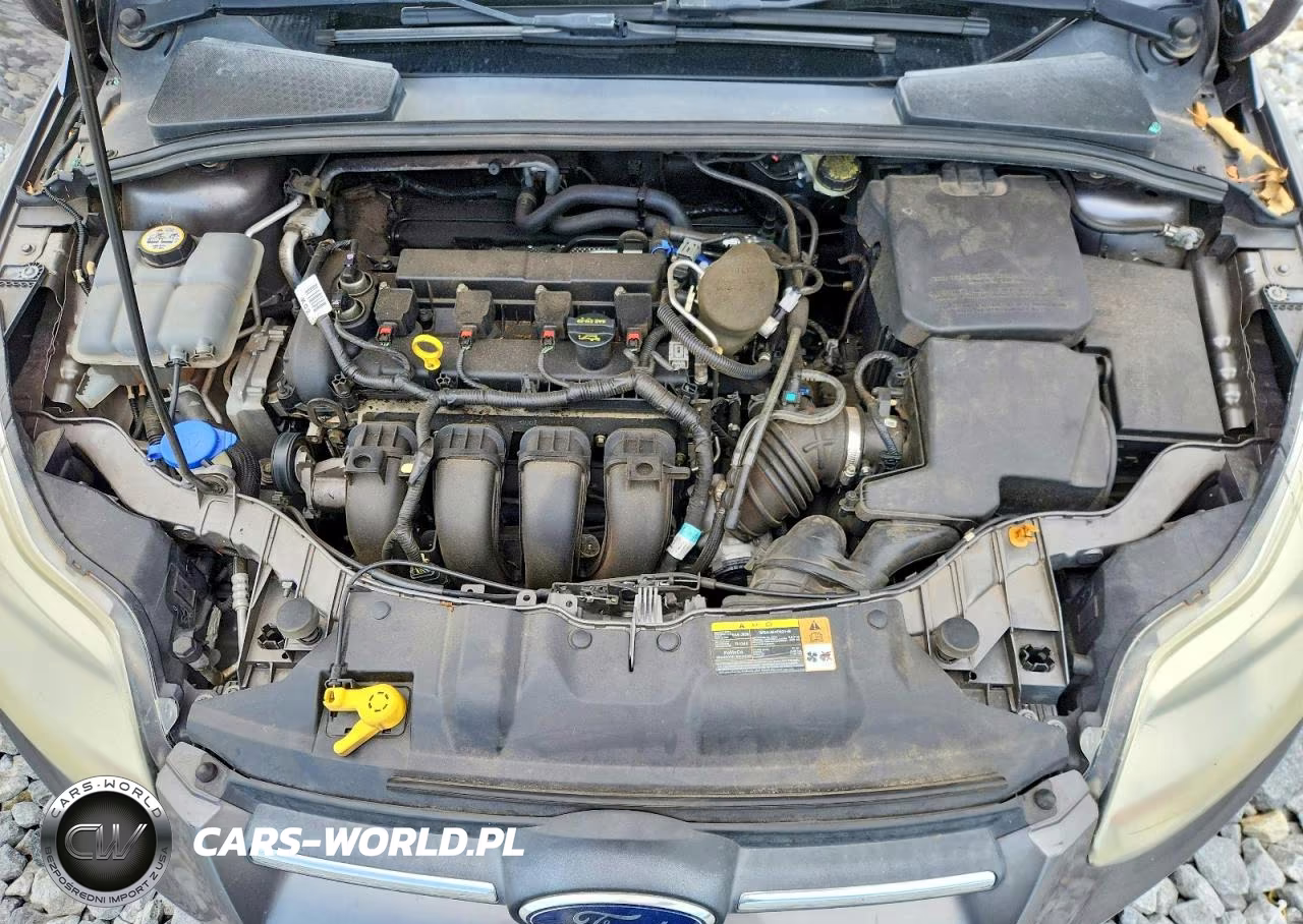 2014 Ford Focus Se VIN:1FADP3K29EL179437 - 11