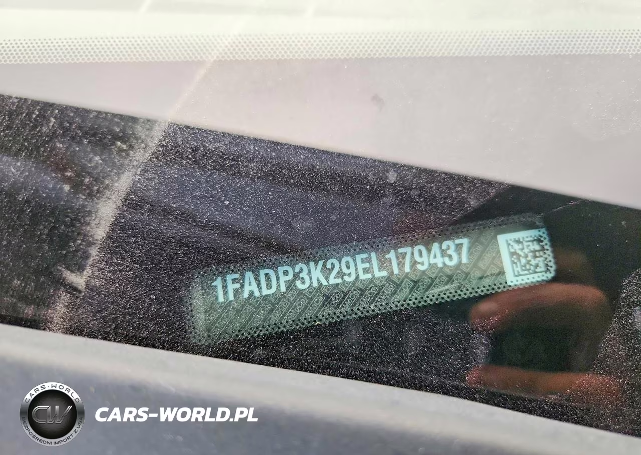 2014 Ford Focus Se VIN:1FADP3K29EL179437 - 12