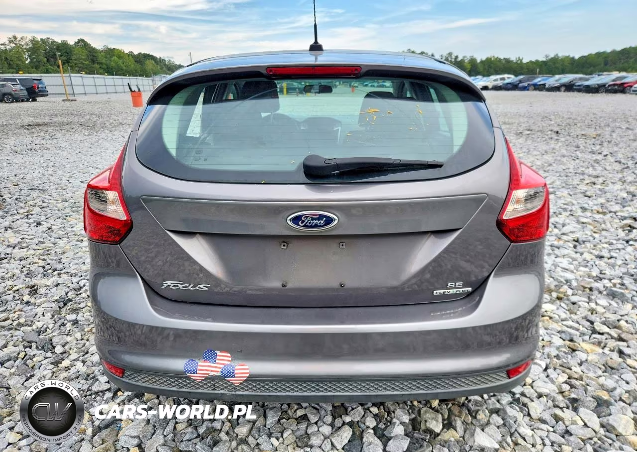 2014 Ford Focus Se VIN:1FADP3K29EL179437 - 6