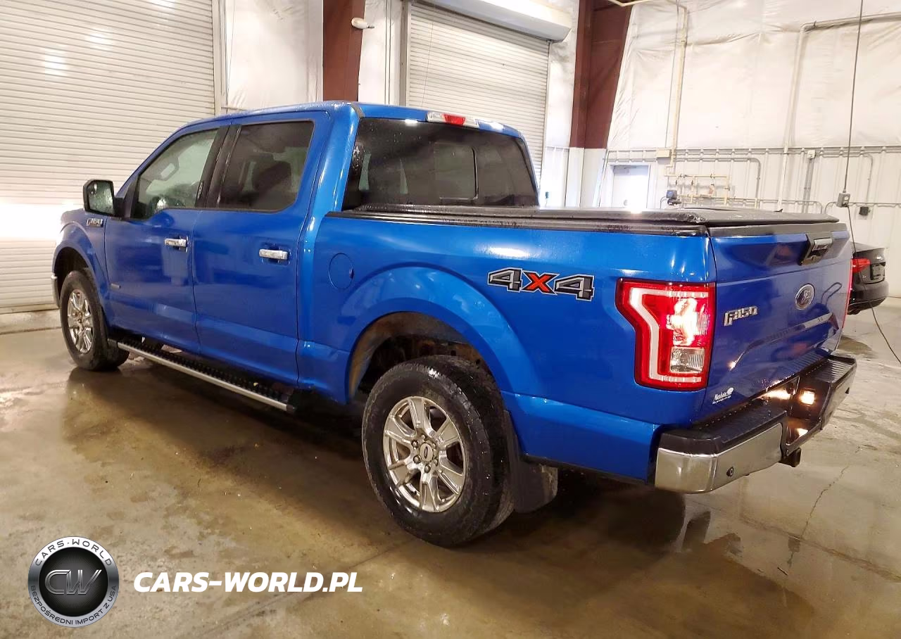 2016 Ford F150 Supercrew VIN:1FTEW1EG8GKF51808 - 2