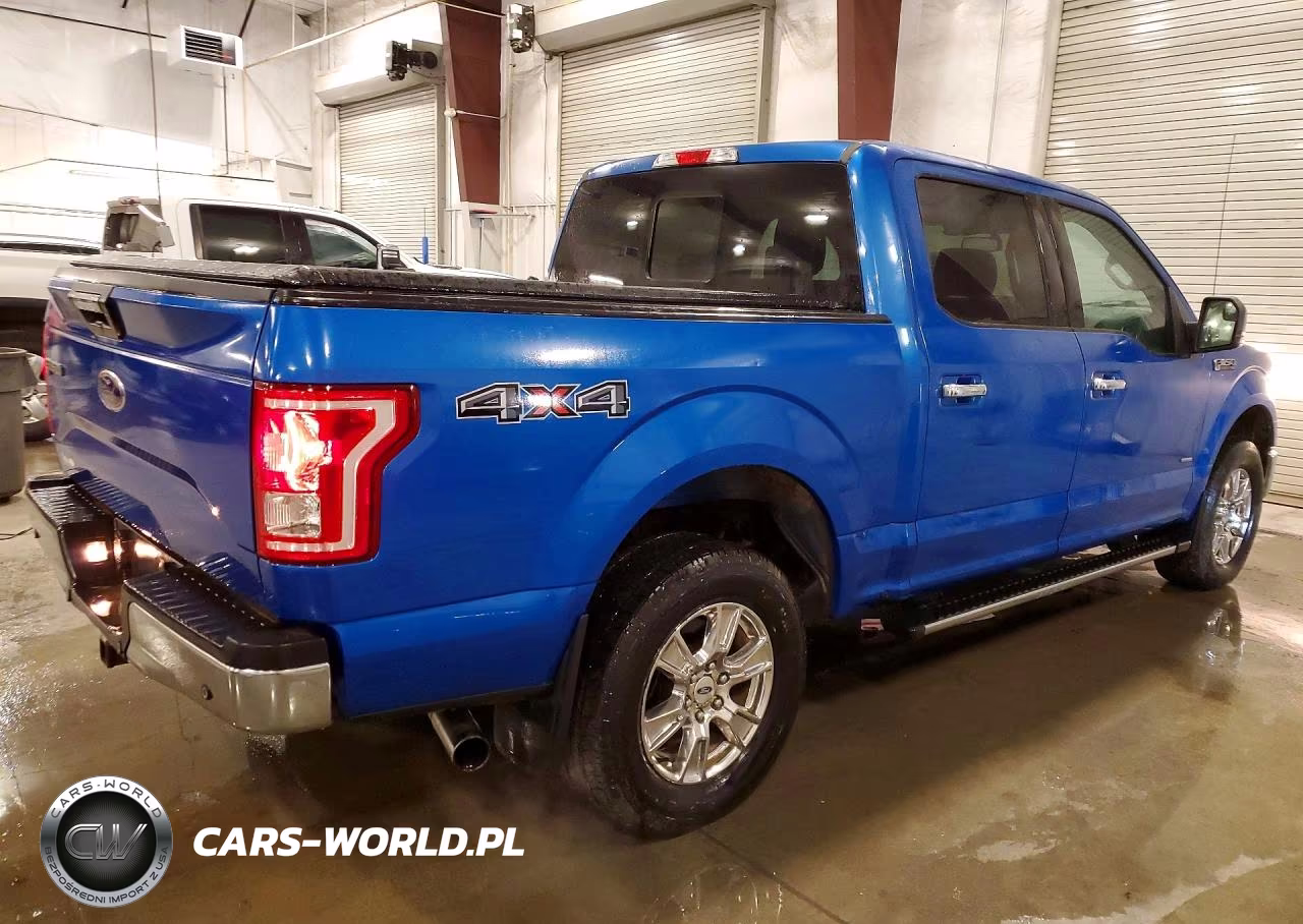 2016 Ford F150 Supercrew VIN:1FTEW1EG8GKF51808 - 3