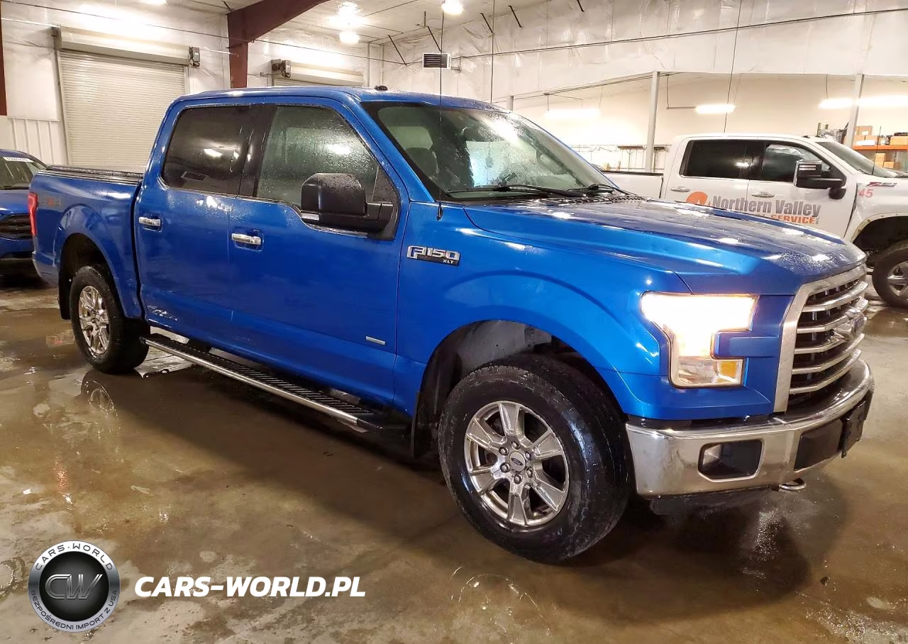2016 Ford F150 Supercrew VIN:1FTEW1EG8GKF51808 - 4