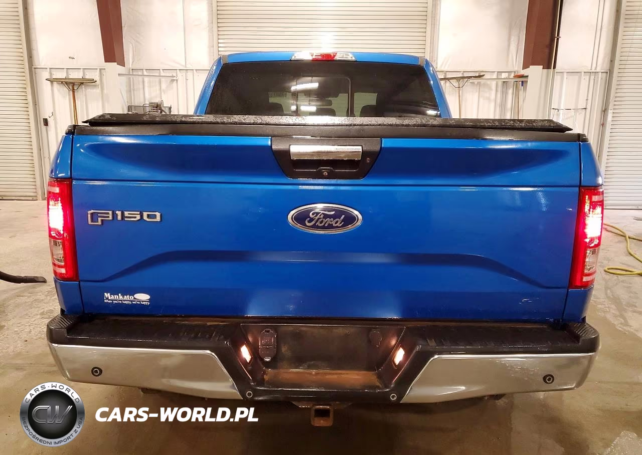 2016 Ford F150 Supercrew VIN:1FTEW1EG8GKF51808 - 6