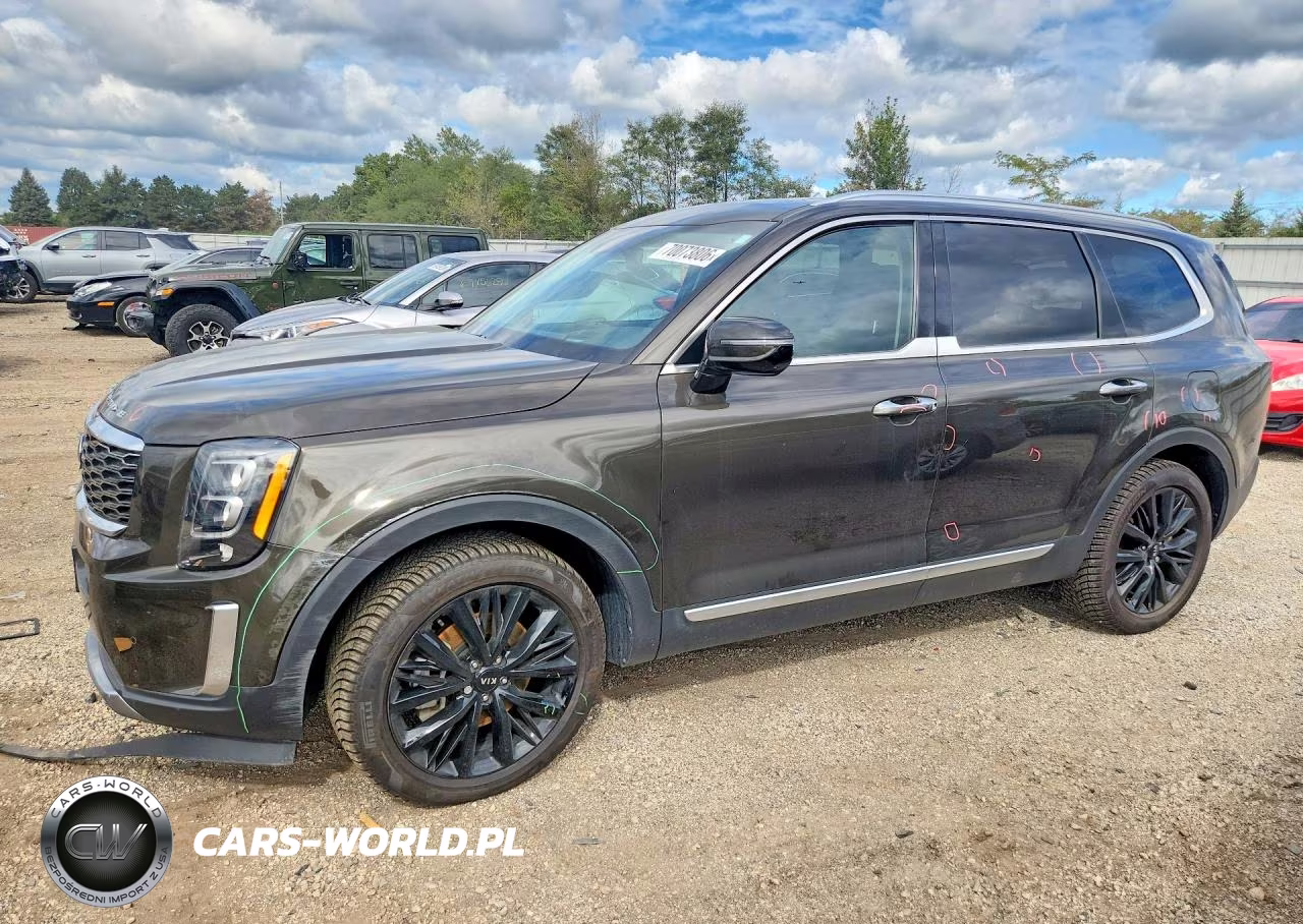 2020 Kia Telluride Sx VIN:5XYP5DHC7LG093474 - 1