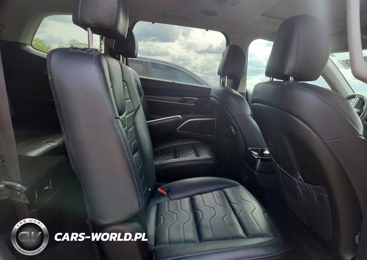 2020 Kia Telluride Sx VIN:5XYP5DHC7LG093474 - 11