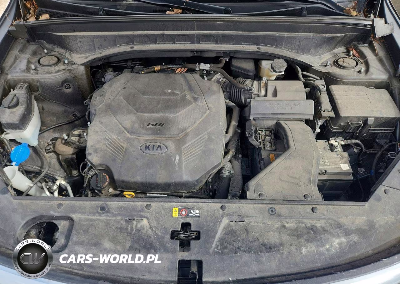 2020 Kia Telluride Sx VIN:5XYP5DHC7LG093474 - 12