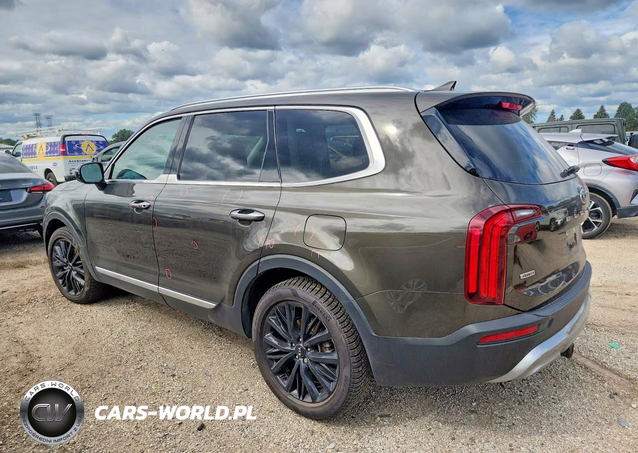 2020 Kia Telluride Sx VIN:5XYP5DHC7LG093474 - 2