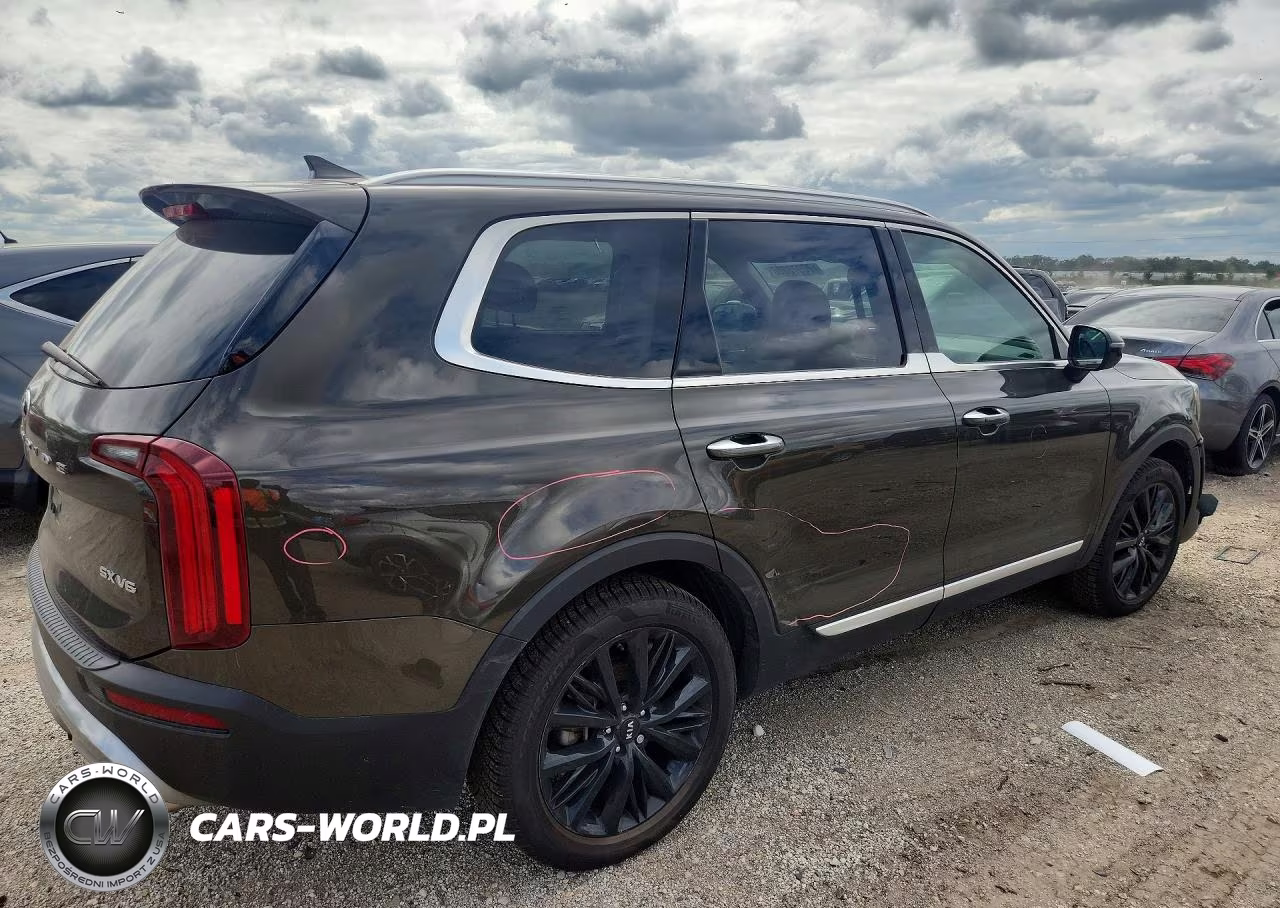 2020 Kia Telluride Sx VIN:5XYP5DHC7LG093474 - 3